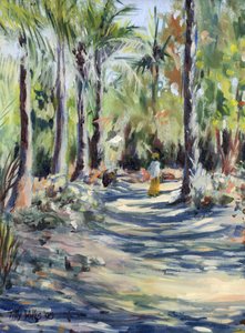 The Bush Road by Tilly Willis